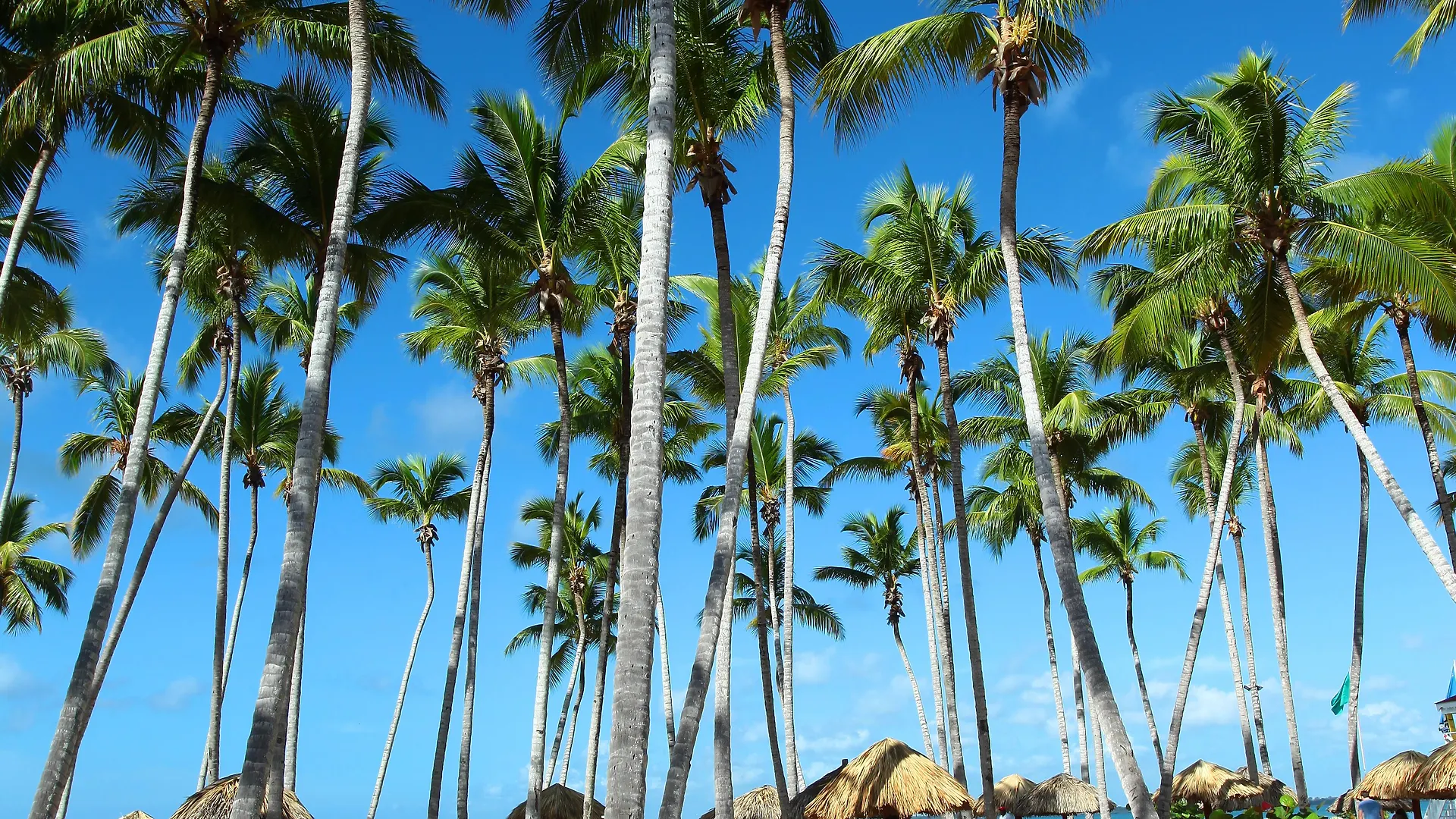 Bahia Principe Grand La Romana (Adults Only) El Soco
