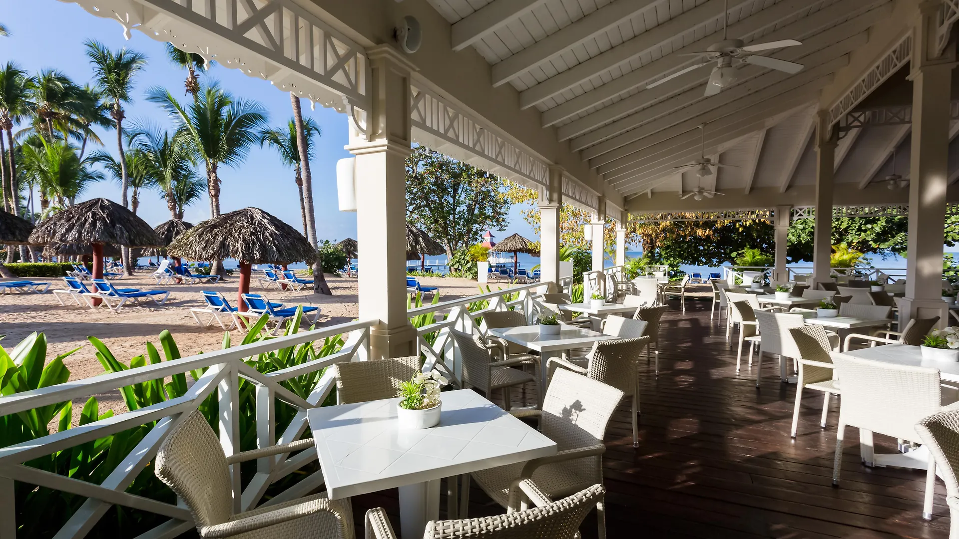 ***** Resort Bahia Principe Grand La Romana (Adults Only) El Soco Dominican Republic