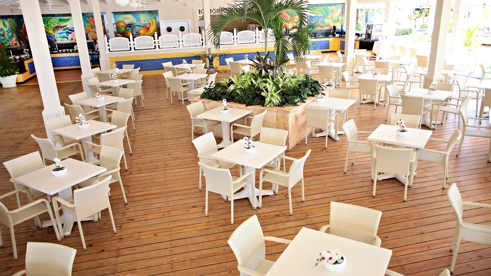 Resort Bahia Principe Grand La Romana (Adults Only) El Soco